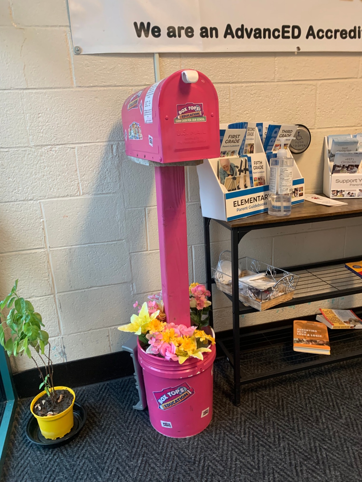 The BoxTops Mailbox Needs a Refresh!